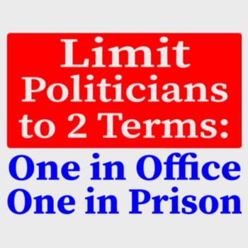 Limit Politicians To 2 Terms Design